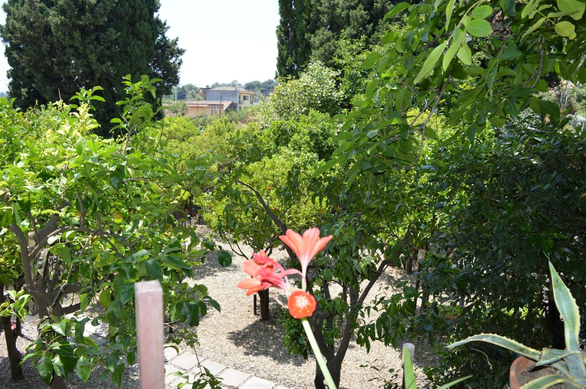 Zest House Bed and Breakfast Santa Venerina Buitenkant foto