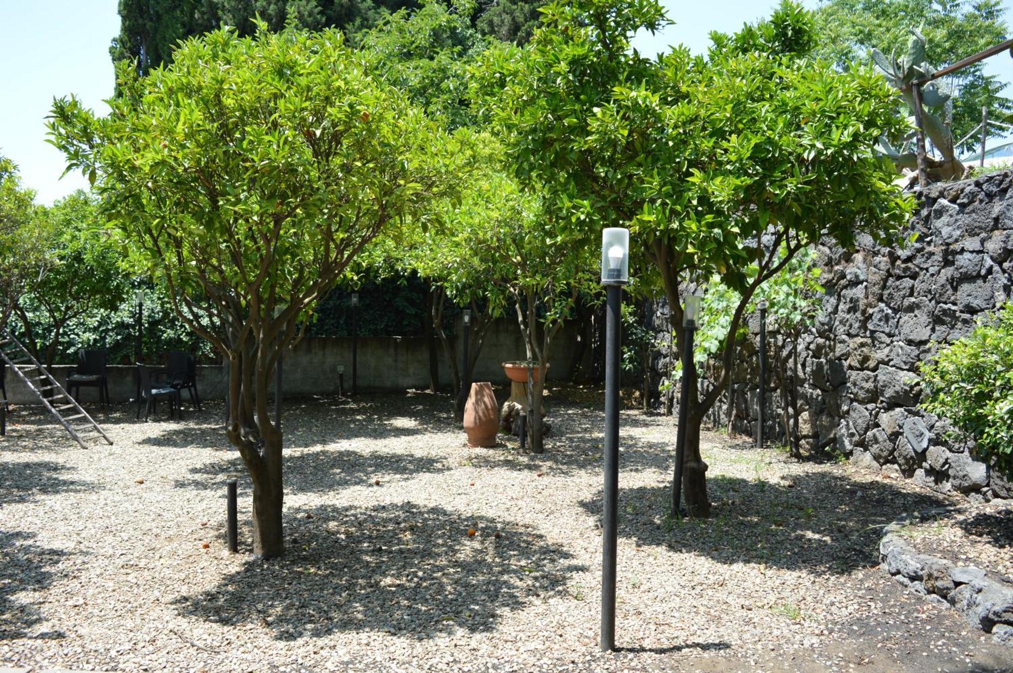 Zest House Bed and Breakfast Santa Venerina Buitenkant foto